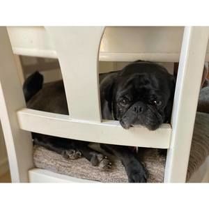 Meet your Posher, Jim